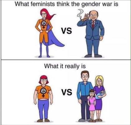 feminist-reality-cartoon