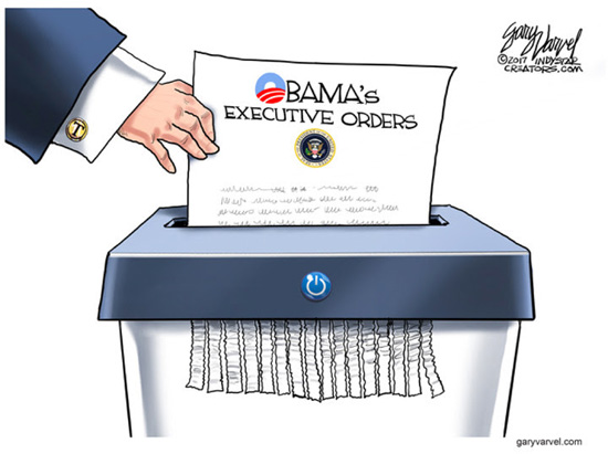 obama-executive-orders-cartoon