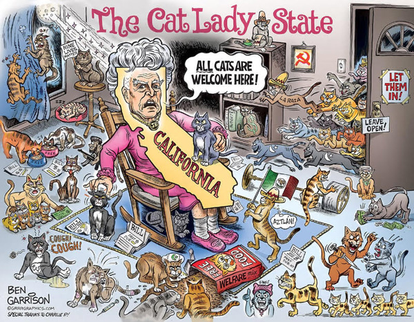 california-cat-lady-state-cartoon