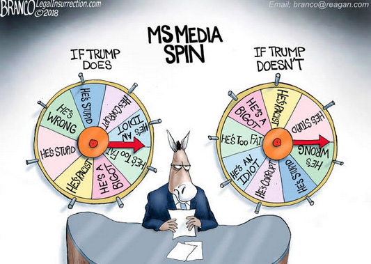 anti-trump-media-cartoon